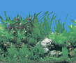 Фон "Растительный/Скалы с растениями" 50x100 см двухсторонний для аквариума (9003/90028)