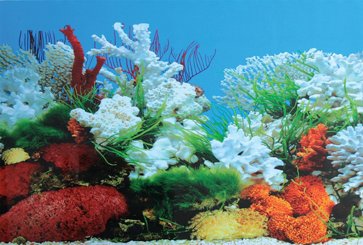 Фон для аквариума двухсторонний Морской пейзаж/Подводный рельеф 50x100 см  (9029/9030) PR-002286 купить в интернет-магазине Аква Блюз