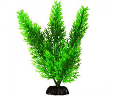 Пластиковое растение Роголистник 20см Barbus (Plant 015/20)