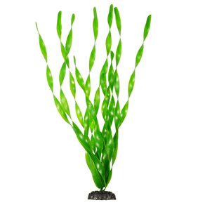 Пластиковое растение Валиснерия спиральная 30см Barbus (Plant 014/30)