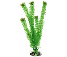 Пластиковое растение Амбулия 30см Barbus (Plant 002/30)