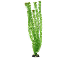 Пластиковое растение Амбулия 50см Barbus (Plant 002/50)