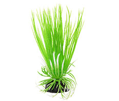 Пластиковое растение Акорус 10см Barbus (Plant 007/10)