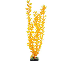 Пластиковое растение Людвигия ярко-желтая 50см Barbus (Plant 012/50)