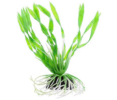 Пластиковое растение Валиснерия спиральная 10см Barbus (Plant 014/10)