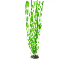 Пластиковое растение Валиснерия спиральная 50см Barbus (Plant 014/50)
