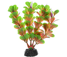 Пластиковое растение Людвигия ползучая 10см Barbus (Plant 022/10)