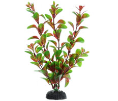 Пластиковое растение Людвигия красная 20см Barbus (Plant 006/20)
