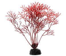 Пластиковое растение Горгонария красная 10см Barbus (Plant 032/10)