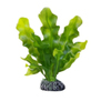 Растение пластиковое Апонегетон 15 см (2216)