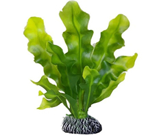 Растение пластиковое Апонегетон 15 см (2216)