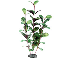 Растение шелковое Гигрофила многосеменная Розанервиг 30 см
