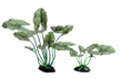 Растение шелковое Сингониум подофиллум 20 см