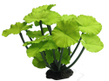 Растение шелковое Нимфея зеленая 25x20x16 см