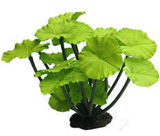 Растение шелковое Нимфея зеленая 25x20x16 см