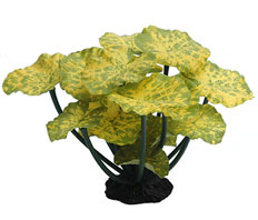 Растение шелковое Нимфея желто-зеленая 25x20x16 см