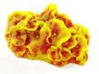 Коралл Vitality пластиковый (мягкий) желто-красный 14х12х7 см