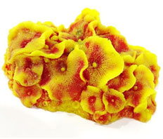 Коралл Vitality пластиковый (мягкий) желто-красный 14х12х7 см, SH011RY