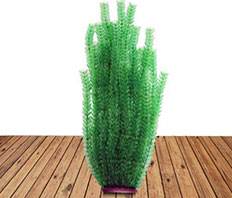 Искусственное растение 42см "Элодея" (YM-7924)