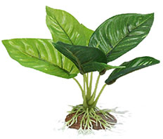 Искусственное растение 10см "Анубиас широколистный" (YM-5807)