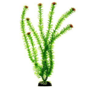 Растение пластиковое Кабомба-2 50 см
