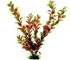 Растение пластиковое Людвигия красно-зеленая 20 см