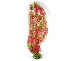Растение пластиковое Мириофиллум 50 см