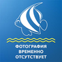 Стаурогин остролистный (Staurogyne sharp)