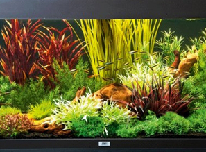 Декорируем аквариум ... пластиковыми растениями!!! Мастер-класс от Джереми Гая