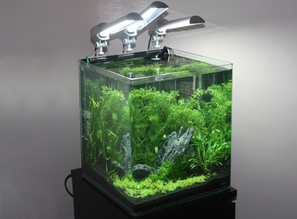 Новые примеры оформления NANO-аквариумов от DENNERLE!!! Схемы для 10/20/30 литровых аквариумов!
