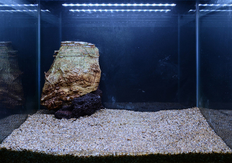 Hardscape - James Starr-Marshall by Tropica. Шаг 3