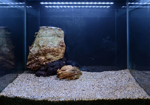 Hardscape - James Starr-Marshall by Tropica. Шаг 4