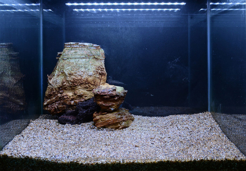 Hardscape - James Starr-Marshall by Tropica. Шаг 5