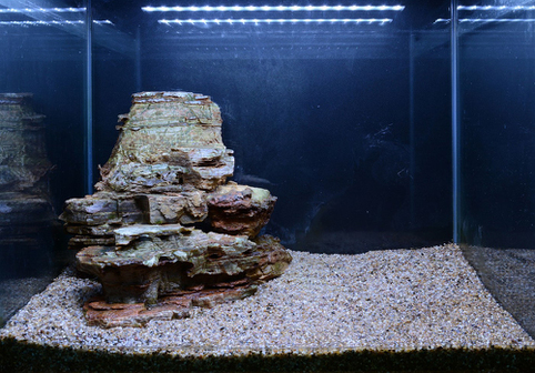 Hardscape - James Starr-Marshall by Tropica. Шаг 6