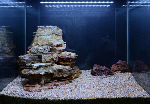 Hardscape - James Starr-Marshall by Tropica. Шаг 7