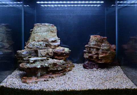 Hardscape - James Starr-Marshall by Tropica. Шаг 8