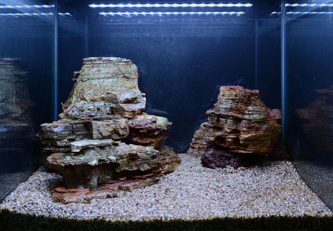 Hardscape - James Starr-Marshall by Tropica. Шаг 9