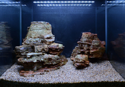 Hardscape - James Starr-Marshall by Tropica. Шаг 10
