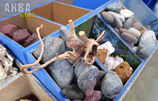 Купить коряги и камни для аквариумов в магазине АКВА БЛЮЗ