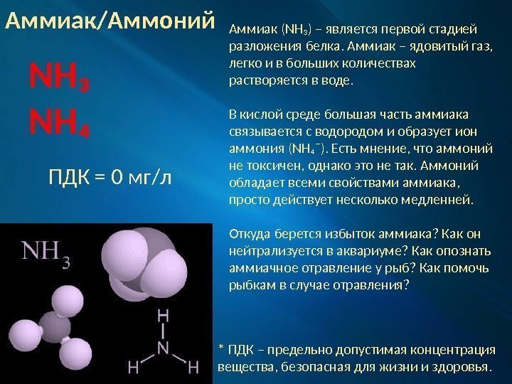 Что такое аммиак/аммоний. Его токсичность.