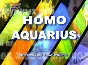 HOMO AQUARIUS - Открывая Азию 04