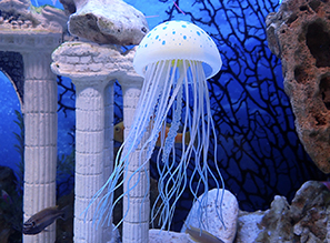 Силиконовые медузы / Jellyfish in aquarium